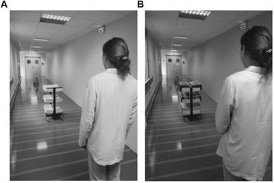 The Action Constraints of an Object Increase Distance Estimation in Extrapersonal Space